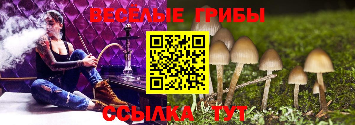 Псилоцибиновые грибы MAGIC MUSHROOMS  Вход с VPN  Тосно 