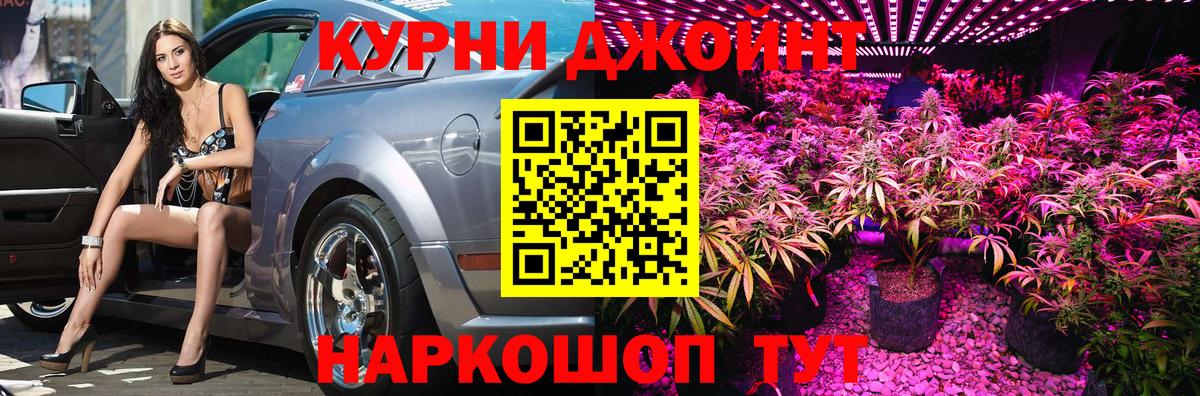 Бошки марихуана план  Конопля OG Kush  Тосно  Каннабис THC 21%  Марихуана марихуана  Вход с VPN 